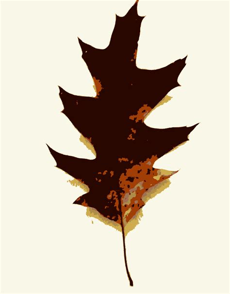 Download #00FF00 More Fall Tree Leaves 2 SVG | FreePNGImg