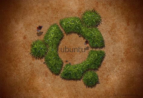 Wallpaper : green, Linux, texture, circle, Ubuntu, GNU, tree, leaf ...