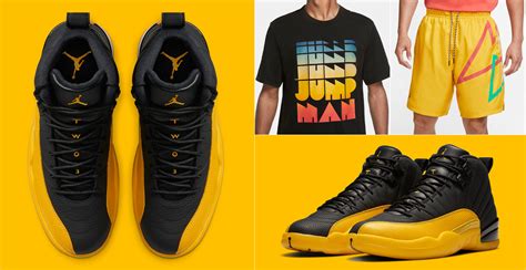 Jordan 12 University Gold Sneaker Outfit | SneakerFits.com