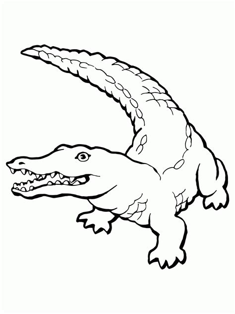 Crocodile Drawings For Kids - Coloring Home