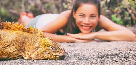 Galapagos Islands Conservation - A Fragile Paradise - GreenGo Travel