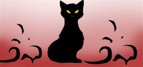 Little Black Cat Gif Littleblackcat Blackcat Cat Disc - vrogue.co