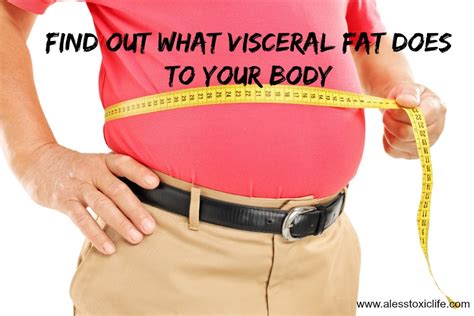 Find Out What Visceral Fat Does To Your Body