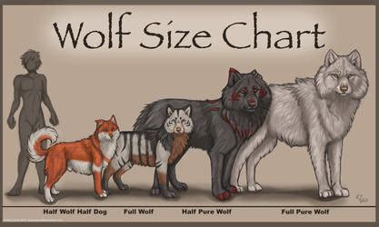 Wolf's Rain Next Generation favourites by TheRompinBlackCat on DeviantArt