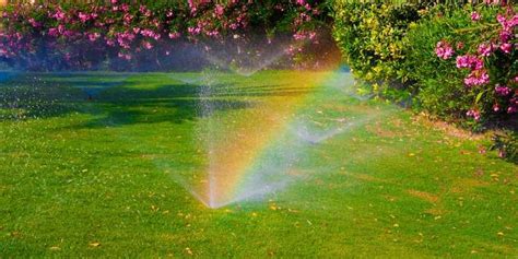 Watering Your Lawn the Smart Way - Houston Grass Pearland Sugar Land