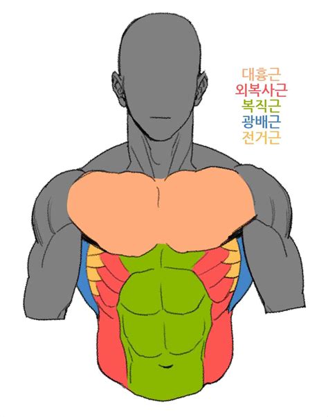 Body Drawing Reference | Free download on ClipArtMag