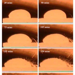 deo images of molten iron droplet in the reaction assembly at 1823 K ...