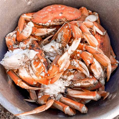 The Easiest Way to Cook Crab - The Perfect Tide