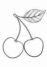 Coloring Pages  Free Printable Cherry Sheet For Kids sketch template