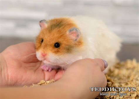 Hamster Candy make to Order Handmade Toy Portrait Pet - Etsy