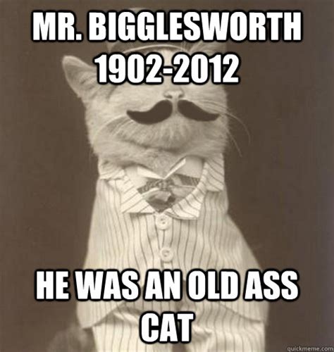 Mr. Bigglesworth 1902-2012 He was an old ass cat - Original Business Cat - quickmeme