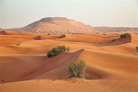 Arabian Desert - Sand, Rocks, Climate | Britannica
