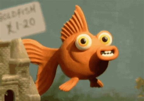 Fish Wink GIF - Fish Wink Cute - Discover & Share GIFs