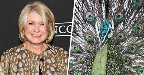 Let Martha Stewart’s Story About Her New Peacock Soothe You