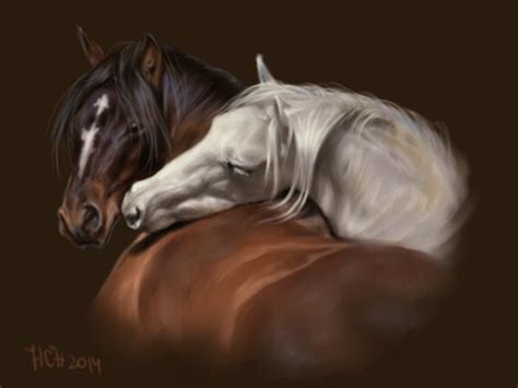 Love and Affection. From DeviantArt by Animal75Artist. | Horses, Horse ...