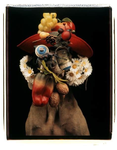 William Wegman: Weimaraners and gesamtkunstwerk | Vermont Arts ...