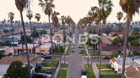 Los Angeles Southern California Ghetto Hood Palm Trees Aerial Drone [2k] Stock Footage,# ...