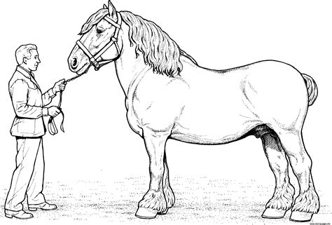 Clydesdale Horse Coloring page Printable