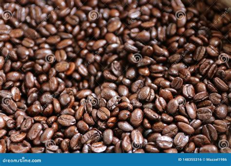 Freshly Medium Roasted Arabica Coffee Beans Stock Photo - Image of ...