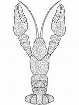 Lobster Coloring Pages sketch template