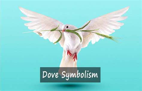 Dove Symbolism | Dove symbolism, Symbols, Love symbols