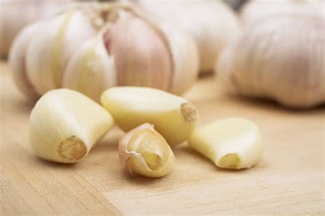 What to Grow: Hardneck Garlic or Softneck Garlic? – Real Men Sow