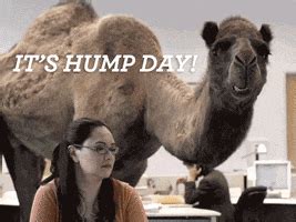 Hump Day GIFs - Find & Share on GIPHY