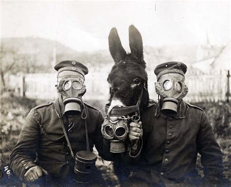 Two German soldiers and their mule wearing gas masks, 1916 - Rare Historical Photos