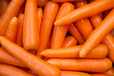 Orange Carrots — Premium Fresh