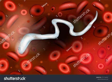 19 Filarial Nematodes Images, Stock Photos & Vectors | Shutterstock