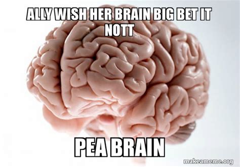 ally wish her brain big bet it nott pea brain - Scumbag Brain | Make a Meme