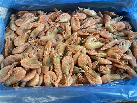 Shell on Prawns 5kg - Frozen Fish Direct