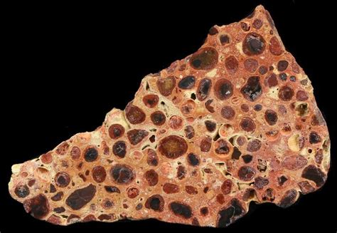 4.1" Polished Bauxite (Aluminum Ore) Slab - Australia For Sale (#46685 ...