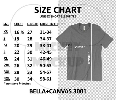 Size Chart Bella Canvas 3001 Unisex Jersey and Heather CVC | Etsy