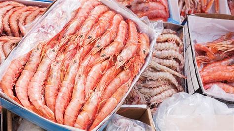 Global Frozen Seafood Market Expands - Frozen Food Europe