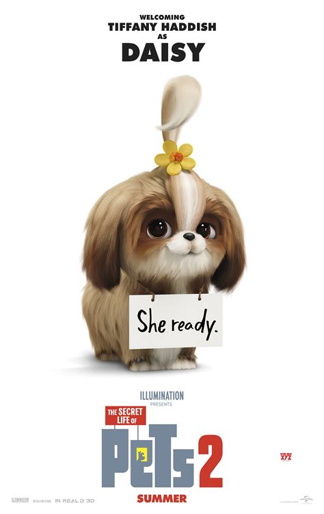 The Secret Life Of Pets 2 Movie New HD Posters - Social News XYZ