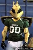 College Sports Mascots Photo Gallery by Andy Lopušnak Photography at ...