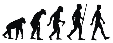 Evolución del hombre