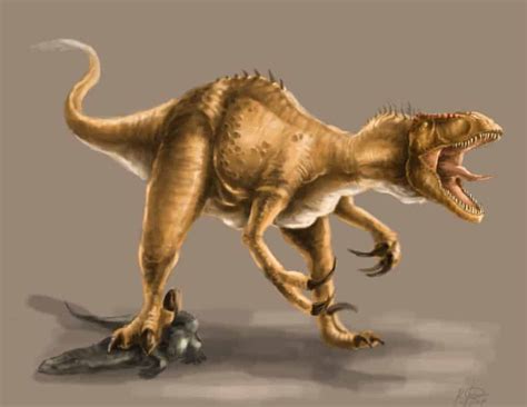 Megaraptor - Facts and Pictures