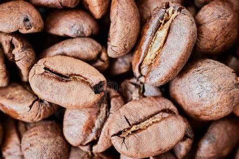 Pollards Freshly Roasted Coffees and Fine Loose Leaf Teas – Pollards Coffee