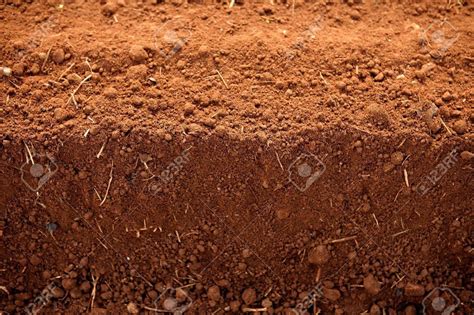 Pmw - High Nutritional Value - Red Soil - Red Clay - 2 Kilo - Loose Packed - for Planting ...