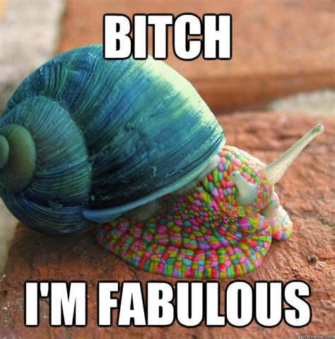 Fabulous Snail memes | quickmeme