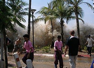 Tsunami - Wikipedia