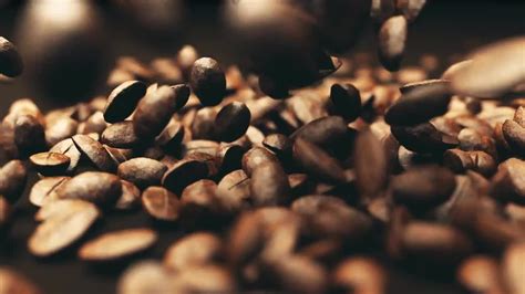 Falling Coffee Beans - Stock Motion Graphics | Motion Array