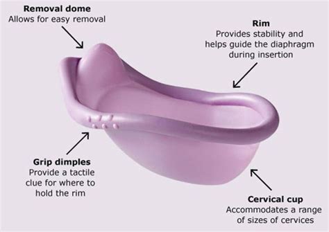 Diaphragm Birth Control - How Does A Diaphragm Work and Effectiveness