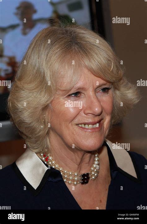 Duchess of cornwall attends red cross reception at mansion house hi-res stock photography and ...