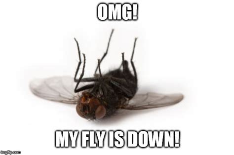 is there an entomologist in the house? - Imgflip