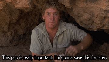 Steve Irwin Quotes. QuotesGram