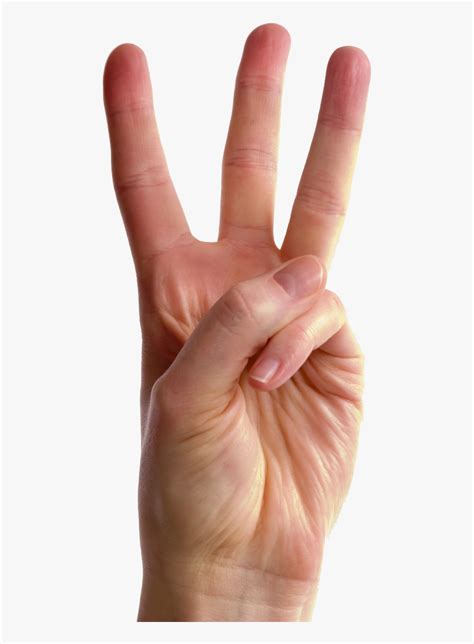 Three Fingers Transparent Images Download - Hand Holding Up 3 Fingers, HD Png Download - kindpng