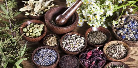 Traditional medicines must be integrated into health care for culturally diverse groups